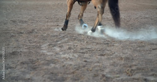Horseback Riding in the Ring