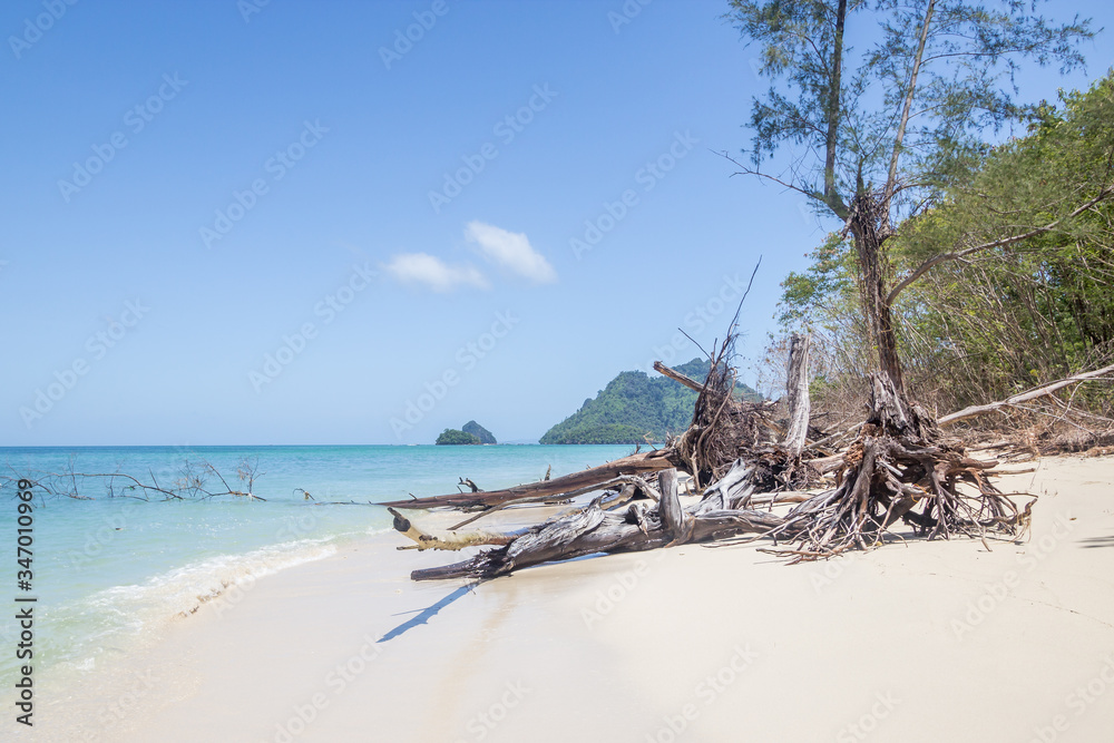 Tropical beach white sand thailand