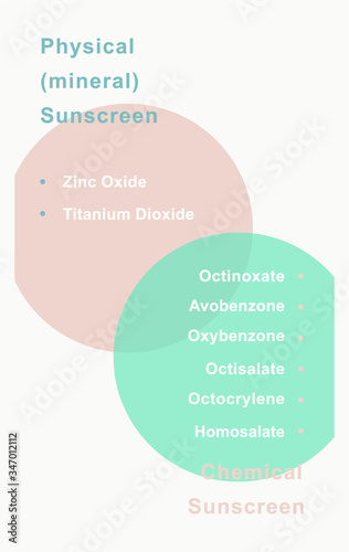 Infographic of ingredients in sunscreen. Physical and chemical ingredients. 