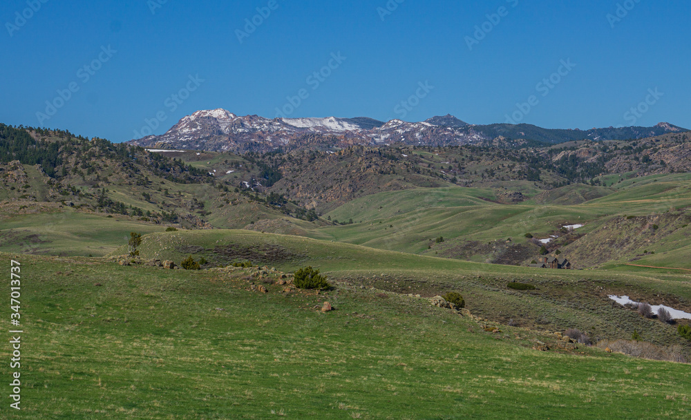 Obraz premium mountain landscape with cows