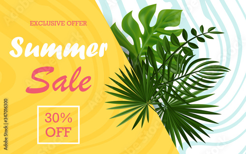 green tropical leaves of plants.Tropical summer design. Summer sale banner or text area for other information. EPS 10