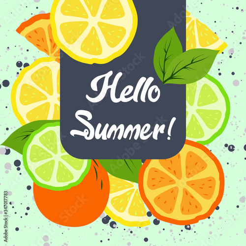 Hello summer text with tropical season fruit elements. lemon, , orange, kiwi with frame on a light background. EPS 10