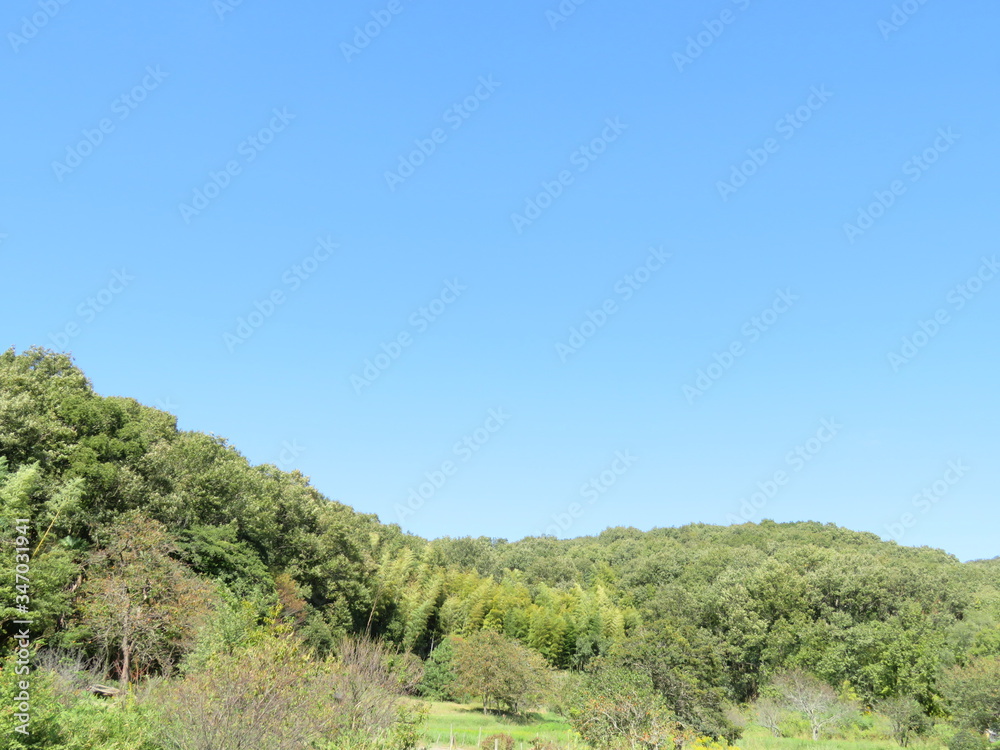 日本の田舎の風景　10月　山の木々と青空