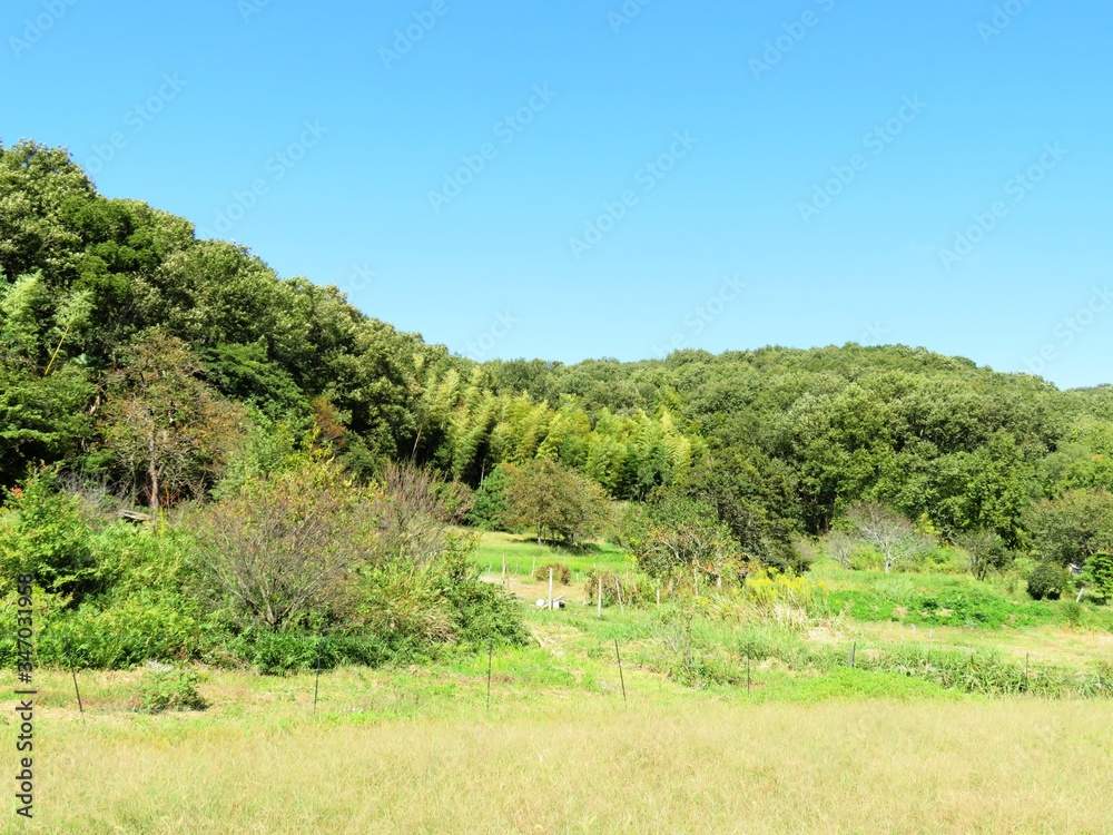 日本の田舎の風景　10月　山の木々と青空