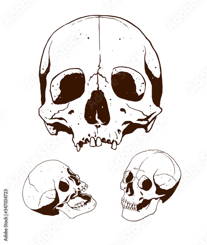 skull art design