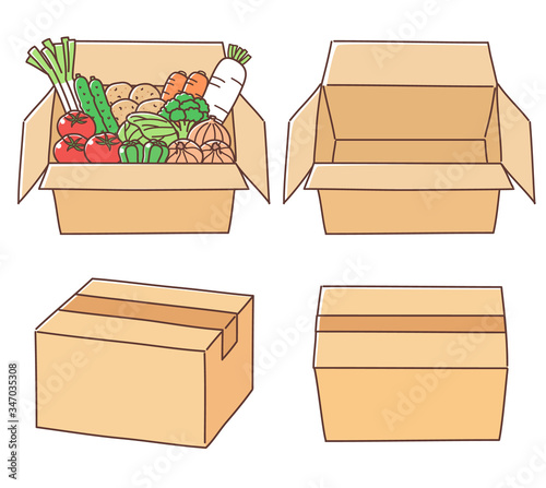 箱に入ったいろんな野菜　ダンボールのイラストセット