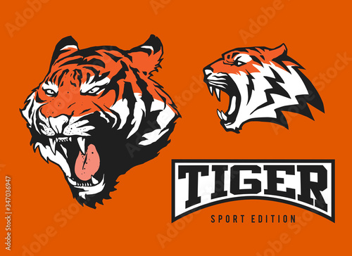 Tiger design as a graphic element