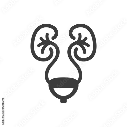 Urology icon