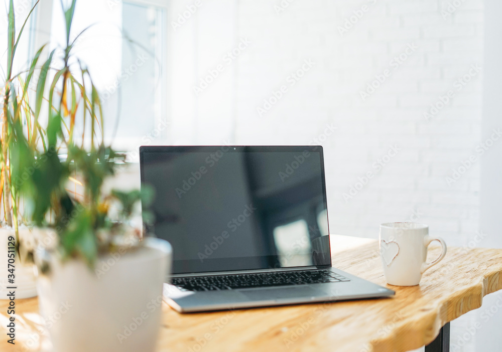 Opened laptop notebook with cup of tea on wooden table against window at home mock up Opened laptop notebook with cup of tea on wooden table against window at home mock up