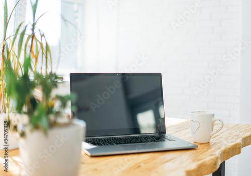 Opened laptop notebook with cup of tea on wooden table against window at home mock up