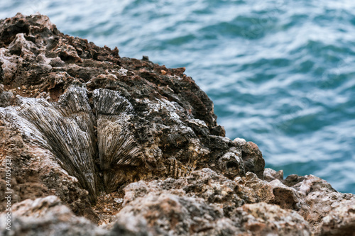 Rocks on a cliff