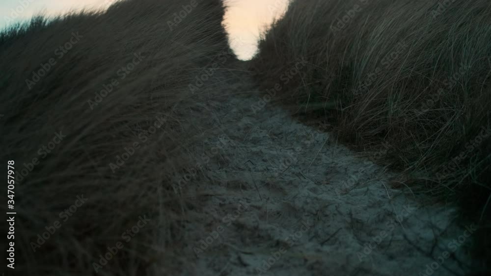 Sandy Beach Path Between Grass Sandy Beach Path Between Grass