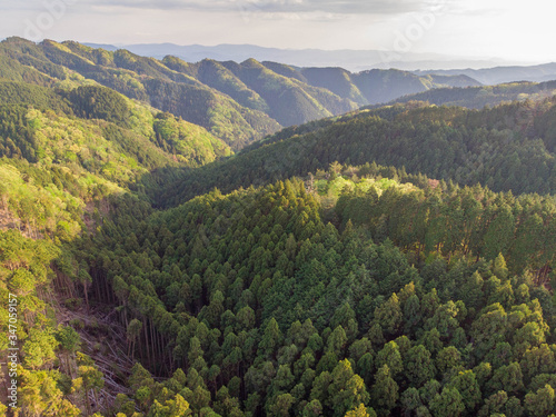 Aerial view of forested valley in late afternoon photo