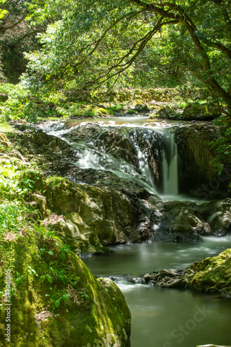 初夏の渓流と滝 © 歌うカメラマン
