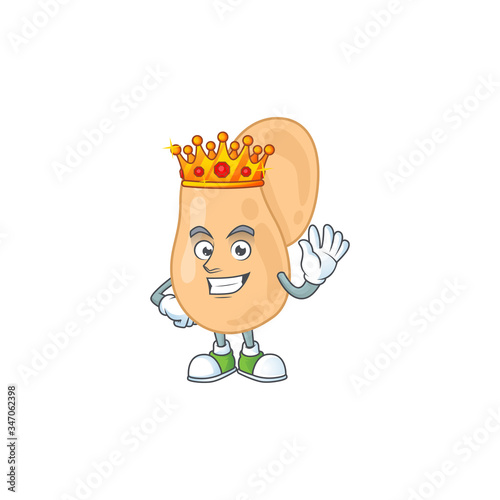 The Charismatic King of sarcina cartoon character design wearing gold crown