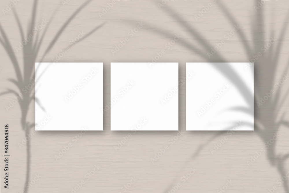 Fototapeta premium 3 square sheets of white textured paper on the gray wall background. Mockup overlay with the plant shadows. Natural light casts shadows from a tropical plant. Flat lay, top view