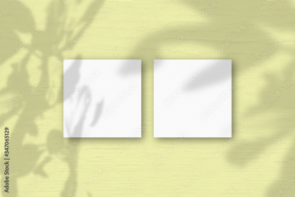 2 square sheets of white textured paper on the yellow wall background. Mockup overlay with the plant shadows. Natural light casts shadows from an exotic plant. Flat lay, top view 2 square sheets of white textured paper on the yellow wall background. Mockup overlay with the plant shadows. Natural light casts shadows from an exotic plant. Flat lay, top view