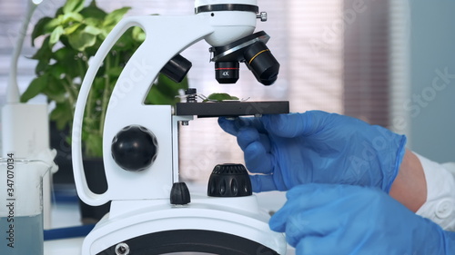 Close-up of hands in lab gloves putting plant leaf under the stage clips of microscope for the research in light laboratory. Panning shot.