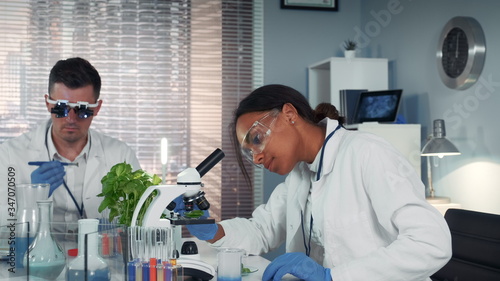 In modern research laboratory black female scientist looking at organic material under microscope while her collegue working in magnifying eyeglasses. photo