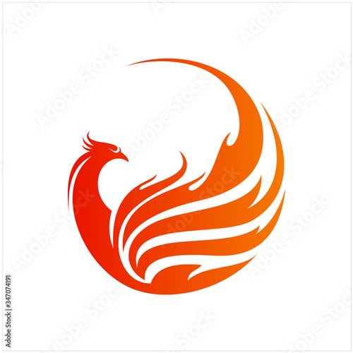 Flying Phoenix Fire Bird abstract Logo design vector template. Dove Eagle Logotype concept icon