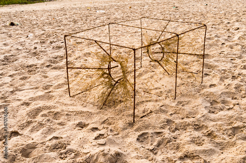 Crab trap on Bijilo Beach photo