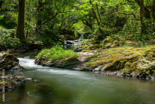 春の渓流と滝 © 歌うカメラマン