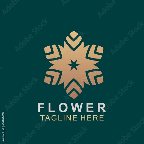 Luxury floral logo design. Ornament flower abstract vector