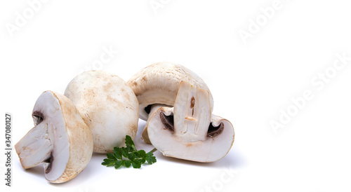 mushrooms on a white isolated background, for your creativity