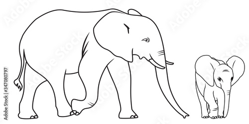 Collection of Cartoon Elephant Used for Coloring Book 