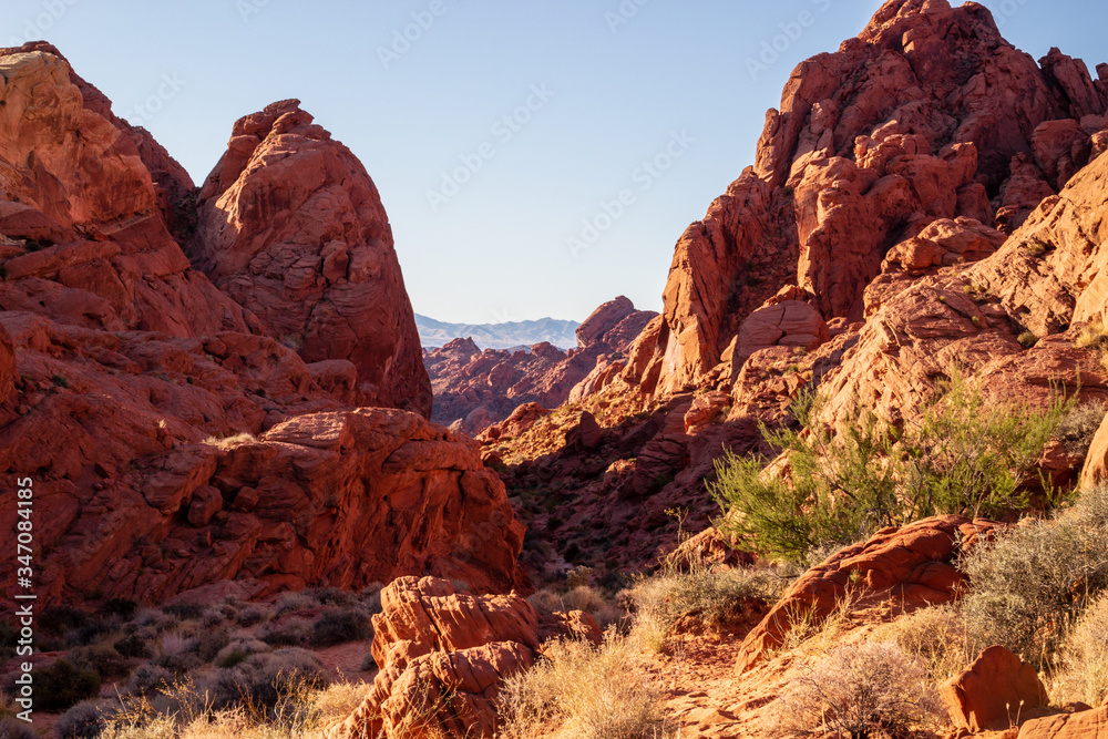 Red Rock Landscape in Petroglyph Canyon of Valley of Fire State Park, Nevada, USA