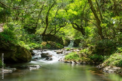 春の渓流と滝 © 歌うカメラマン