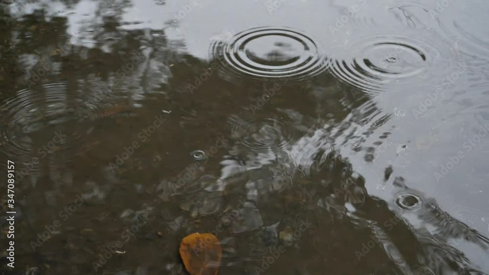 slow motion rain falling drop in puddle water slow motion rain falling drop in puddle water
