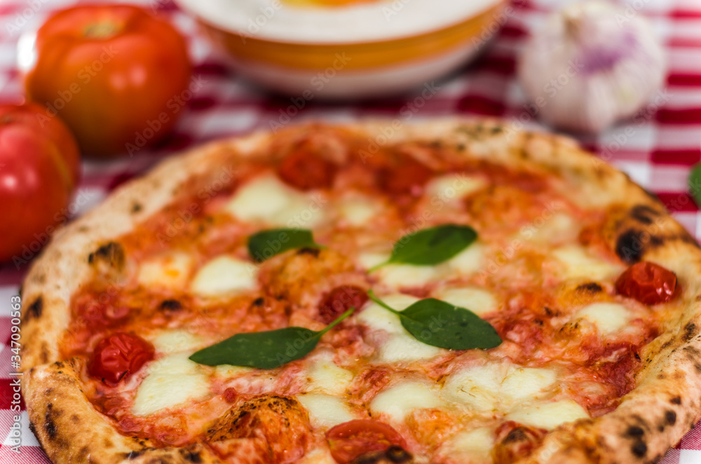 Great background for culinary themes, handmade pizza with daisy flavor on checkered Italian style towel background with different ingredients Great background for culinary themes, handmade pizza with daisy flavor on checkered Italian style towel background with different ingredients