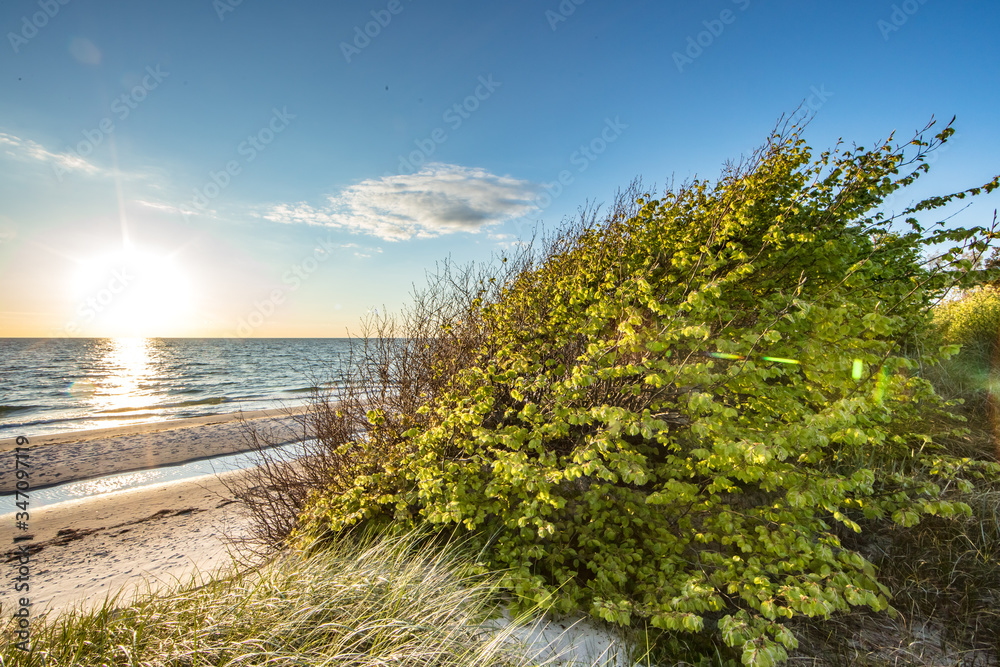 Fototapeta premium küste