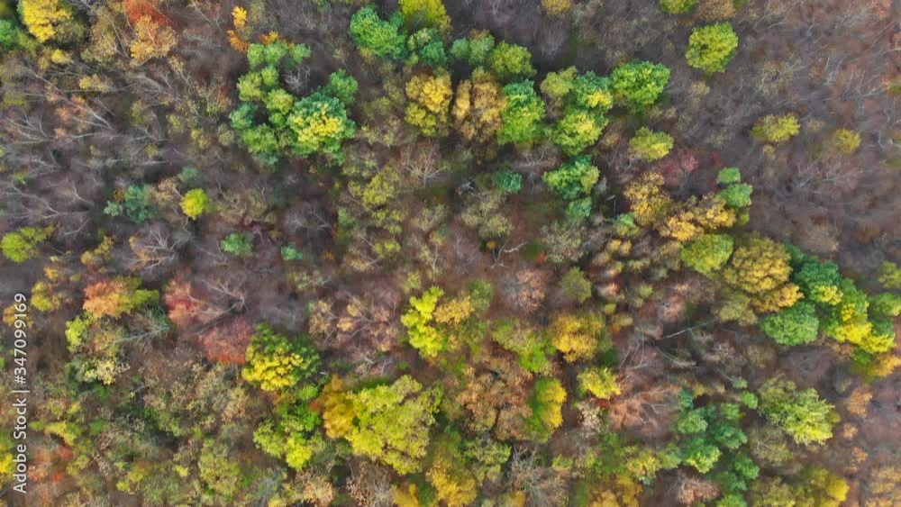 Aerial view over deciduous trees with orange, green yellow leaves Aerial view over deciduous trees with orange, green yellow leaves