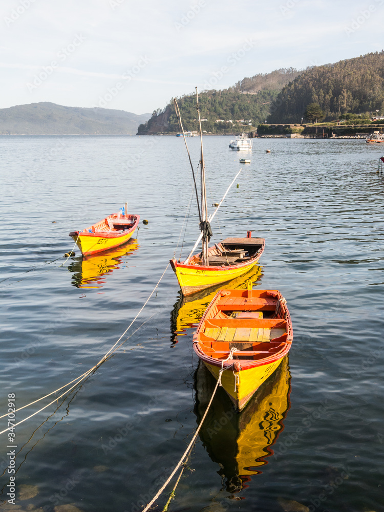 Obraz premium Small fishing boats, moored on the coast of the Valdivia River, in the town of Corral. Chile is a power in extractive fishing in the world. Valdivia, River Region, southern Chile.