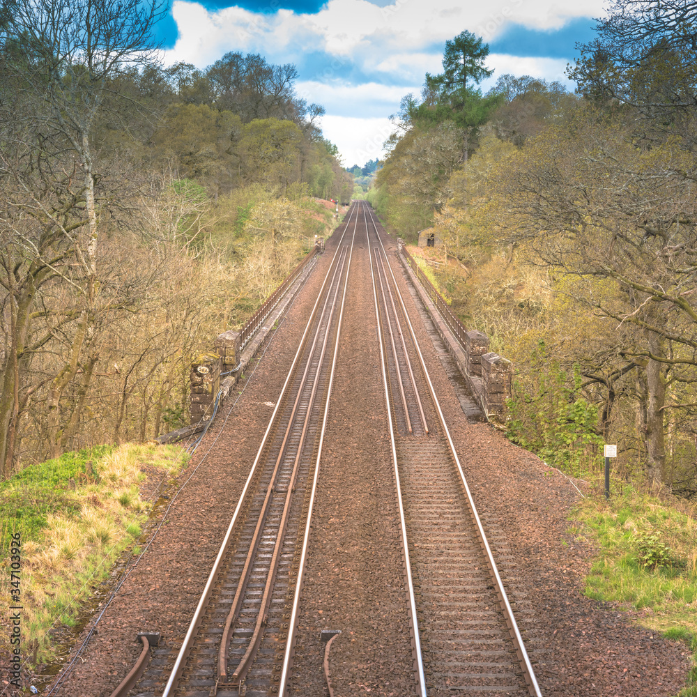 Scenic railroad tracks in a forest in rural area in summer and blue sky with white clouds Scenic railroad tracks in a forest in rural area in summer and blue sky with white clouds