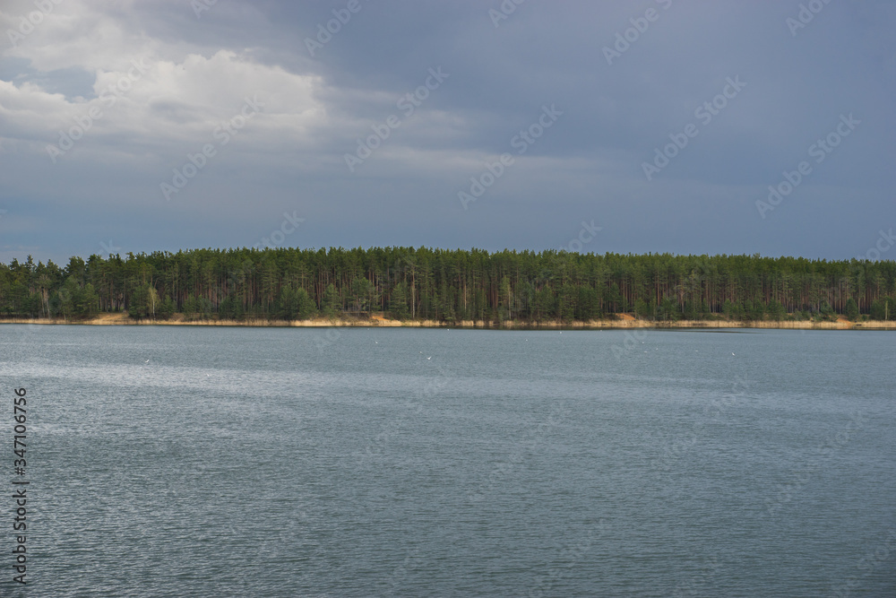 Pine forest on steep sandy shore of lake with dark opaque water and seagulls flying in search of fish against gloomy sky. Nature before thunderstorm