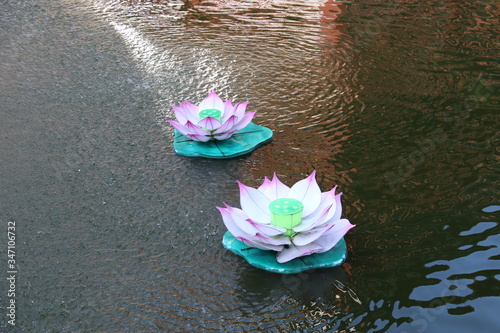 Photography Lotus décoratifs sur un lac à Shanghai, Chine