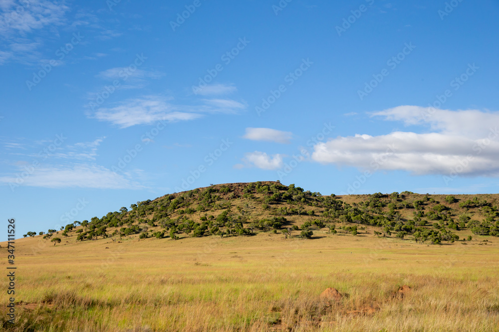 Mountains covered with plants and a blue sky with small clouds