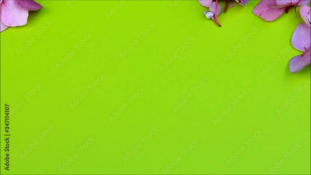 pink blossoms on green, zoom, background, texture Stock ビデオ Adobe Stock