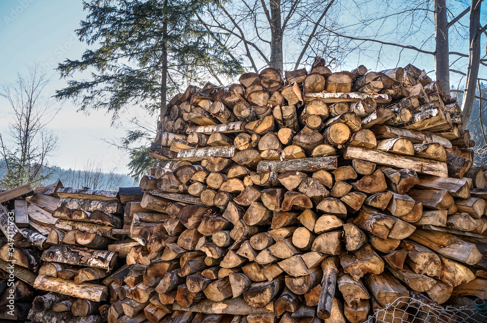 Heap of wooden logs outdoors