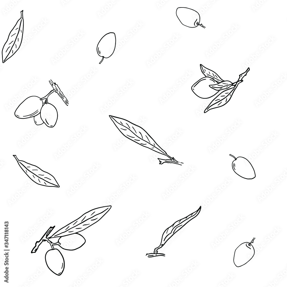Seamless pattern of olives berries, twigs with olives and leaves. Black and white hand drawn pattern of olives on a white background. Vector background for print, textile, wallpaper. Seamless pattern of olives berries, twigs with olives and leaves. Black and white hand drawn pattern of olives on a white background. Vector background for print, textile, wallpaper.