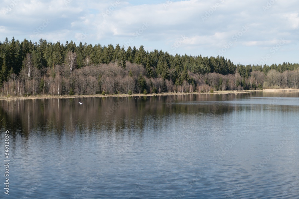 beautiful lake in the forest beautiful lake in the forest