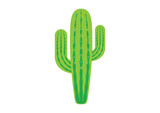 Green saguaro cactus icon vector. Fresh green cactus isolated on a white background. Green cactus with prickles clip art