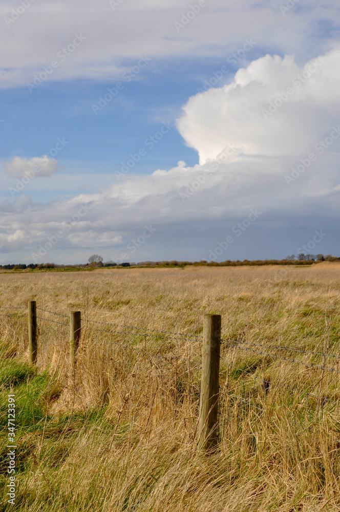 A barbed wire fence with wooden posts crosses natural Fen marshland in a nature reserve in Lincolnshire UK under dramatic clouds