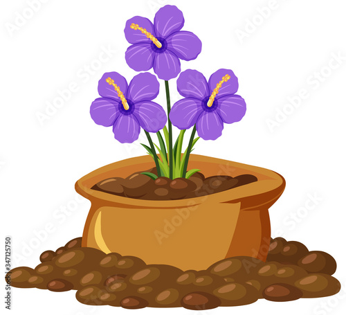 Purple flowers in brown bag on white background