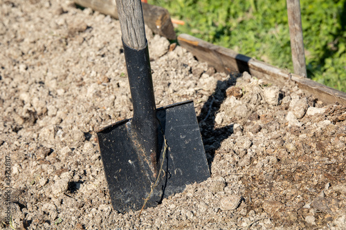 A day working in the vegetable garden, growing home grown food. A metallic shovel with a wooden handle planted in the soil of a raised flowerbed, ready to be sowed. Farm life.