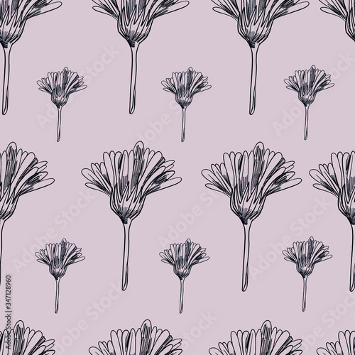 Calendula flowers pattern. marigold vector seamless pattern. Vintage floral ornament. Medical herbs eps 8 seamless pattern. Cute floristic pattern. 