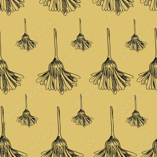 Calendula flowers pattern. marigold vector seamless pattern. Vintage floral ornament. Medical herbs eps 8 seamless pattern. Cute floristic pattern. 